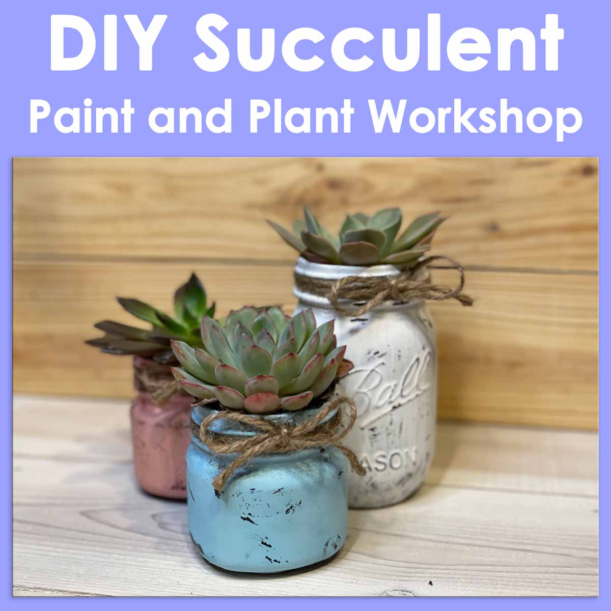 Paint and Plant Succulents